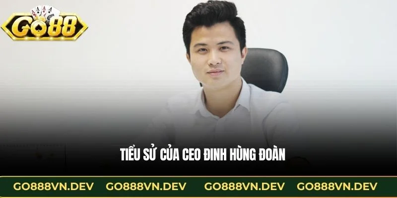 Tiểu sử của CEO Đinh Hùng Đoàn
