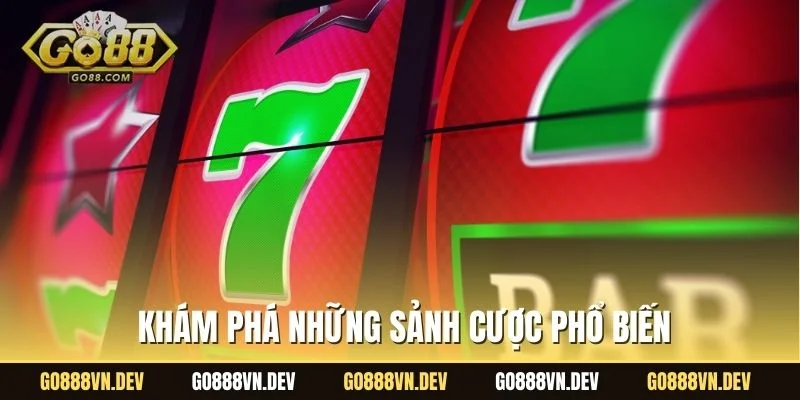 Khám phá những sảnh cược phổ biến